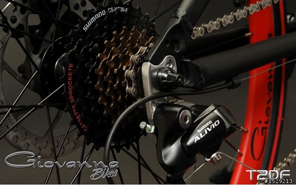 詢問Giovanna Bike 24吋小徑,身高180體重80適合嗎? (內容多圖)