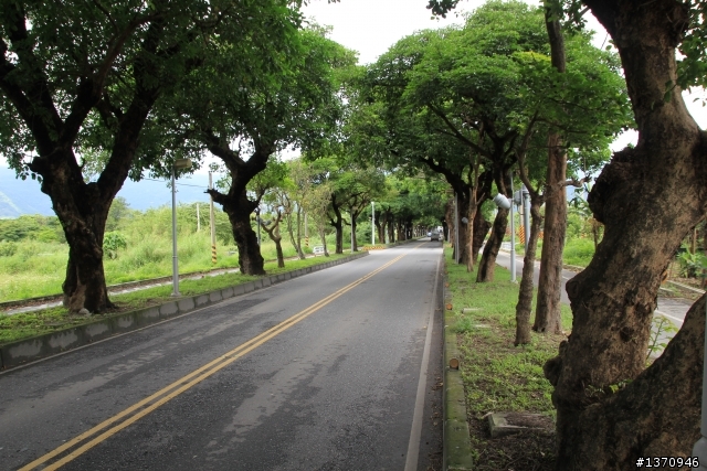 米奇奇遇記 (新增油錢.油耗.住宿費)
