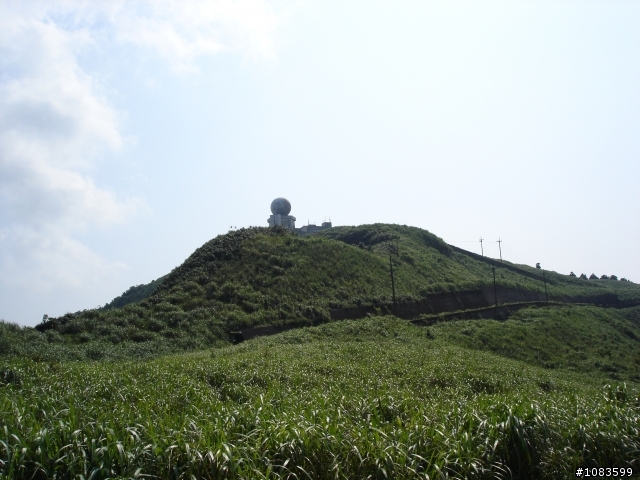 汐平失焦、十分桐花、五分蝴蝶、九份芋圓