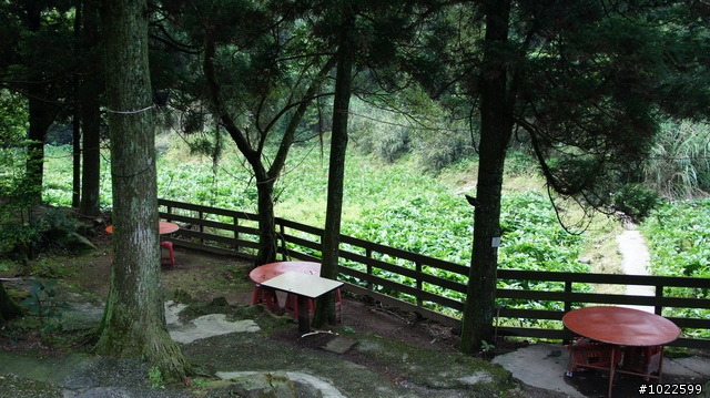 wildBLUEbear映像: 竹子湖-綠山谷,要拍video,先得勘景一次,寫成遊記,再...