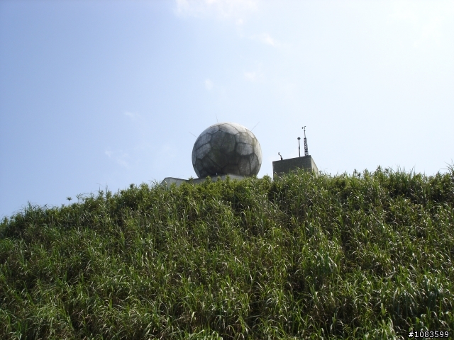 汐平失焦、十分桐花、五分蝴蝶、九份芋圓