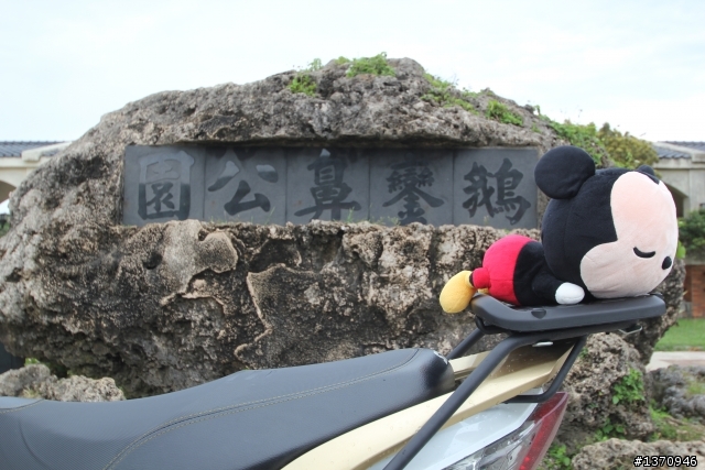 米奇奇遇記 (新增油錢.油耗.住宿費)