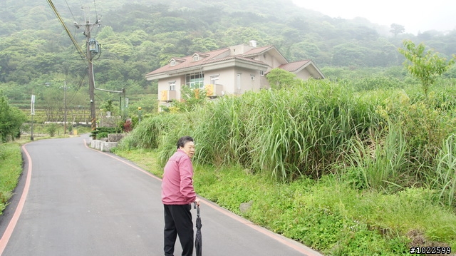 wildBLUEbear映像: 竹子湖-綠山谷,要拍video,先得勘景一次,寫成遊記,再...