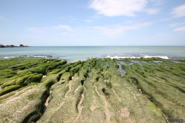 米奇奇遇記 (新增油錢.油耗.住宿費)