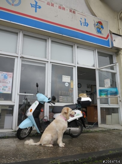 省道一姐輕省生活,人情味特濃!