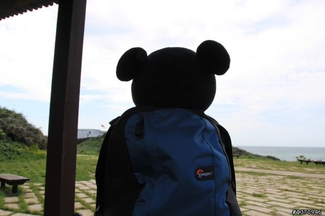 米奇奇遇記 (新增油錢.油耗.住宿費)
