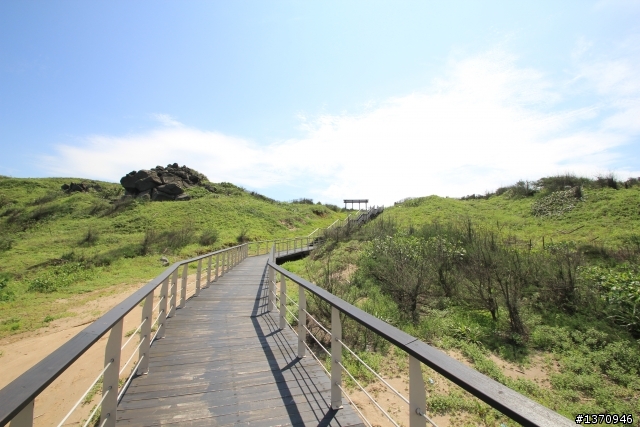 米奇奇遇記 (新增油錢.油耗.住宿費)