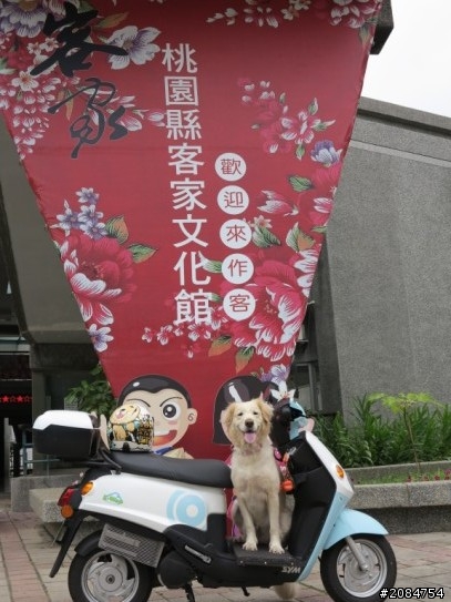省道一姐輕省生活,人情味特濃!