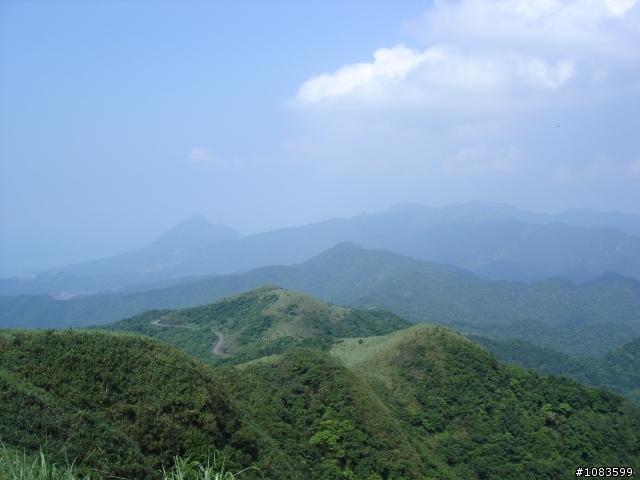 汐平失焦、十分桐花、五分蝴蝶、九份芋圓