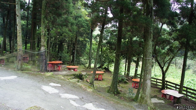 wildBLUEbear映像: 竹子湖-綠山谷,要拍video,先得勘景一次,寫成遊記,再...