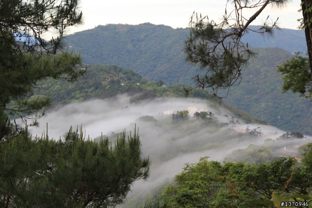 米奇奇遇記 (新增油錢.油耗.住宿費)