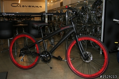 詢問Giovanna Bike 24吋小徑,身高180體重80適合嗎? (內容多圖)