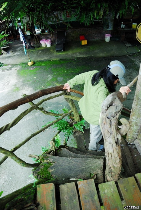 縣162甲深山林內的老頑童之家