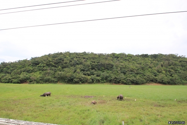 米奇奇遇記 (新增油錢.油耗.住宿費)