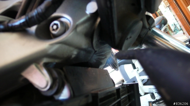 我的-紅牌教練車- YAMAHA FZ6N