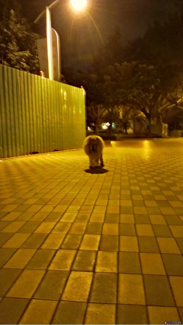 HTC ONE X超強相機 HDR大比拚(圖多)