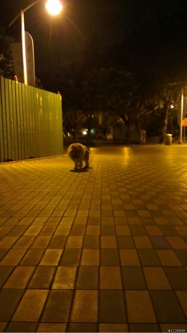 HTC ONE X超強相機 HDR大比拚(圖多)