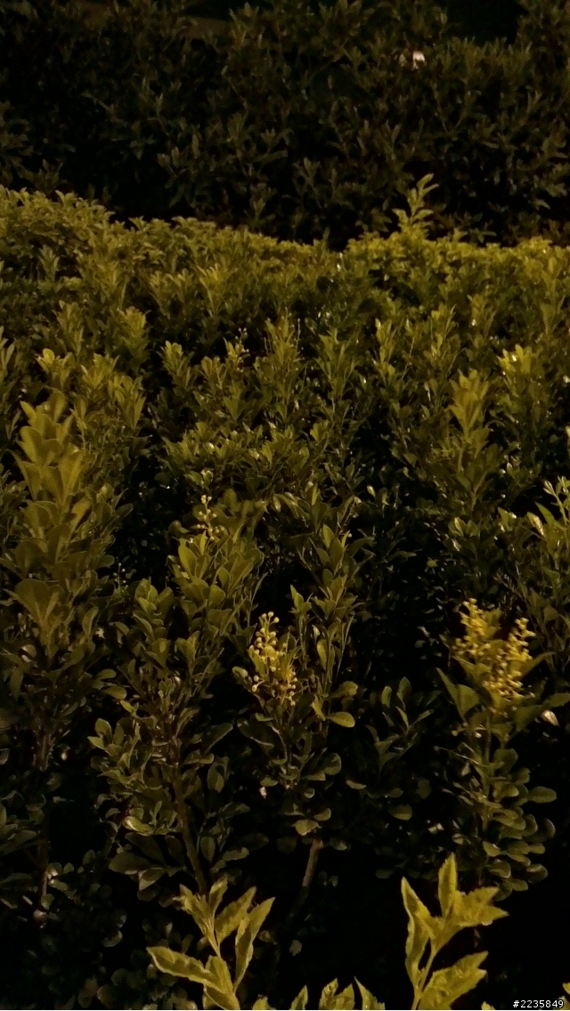 HTC ONE X超強相機 HDR大比拚(圖多)