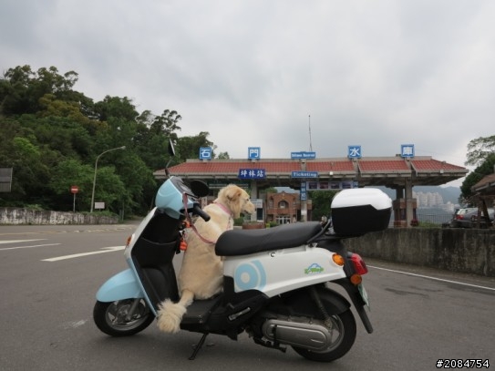 省道一姐輕省生活,人情味特濃!