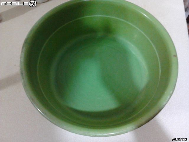 分享__飛蟻(大水蟻)捕捉方式DIY