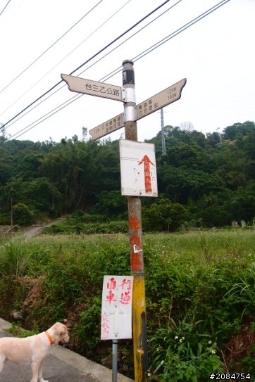 省道一姐輕省生活,人情味特濃!