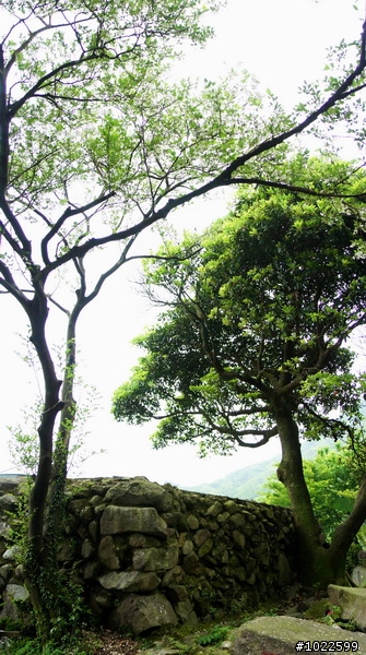 wildBLUEbear映像: 竹子湖-綠山谷,要拍video,先得勘景一次,寫成遊記,再...