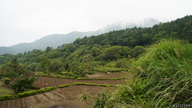 wildBLUEbear映像: 竹子湖-綠山谷,要拍video,先得勘景一次,寫成遊記,再...