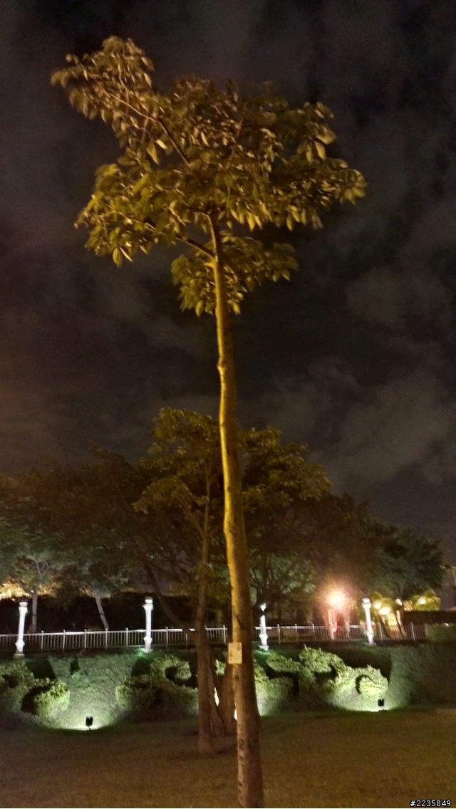 HTC ONE X超強相機 HDR大比拚(圖多)