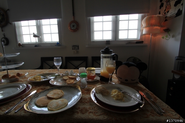 米奇奇遇記 (新增油錢.油耗.住宿費)