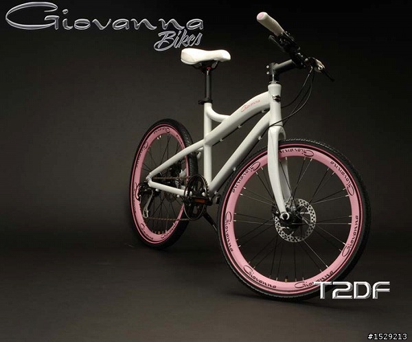 詢問Giovanna Bike 24吋小徑,身高180體重80適合嗎? (內容多圖)