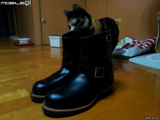 這是一篇感謝開箱文,來自日本的RED WING 2976
