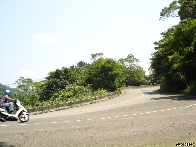 汐平失焦、十分桐花、五分蝴蝶、九份芋圓
