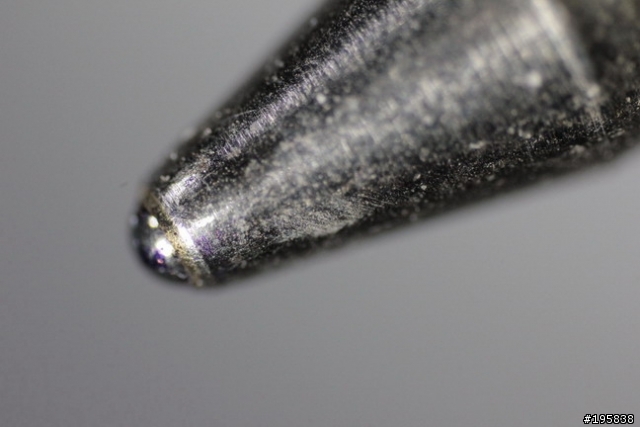 【分享開箱】自製顯微攝影~無敵兔來了