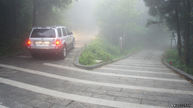 wildBLUEbear映像: 竹子湖-綠山谷,要拍video,先得勘景一次,寫成遊記,再...