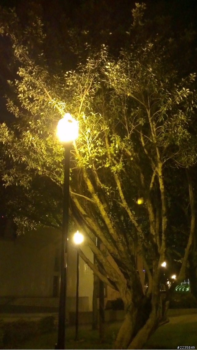 HTC ONE X超強相機 HDR大比拚(圖多)