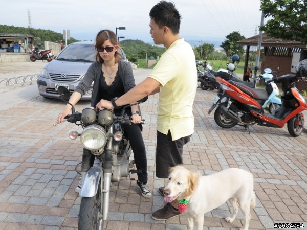 省道一姐輕省生活,奔馳吧小綿羊與大野狼。