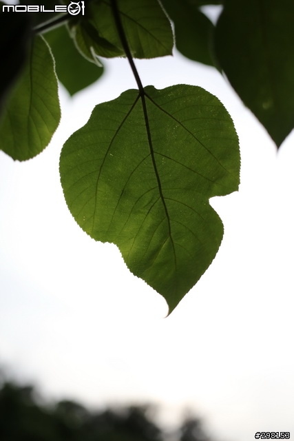 熱騰騰的餅乾 ---- Canon EF 40mm f/2.8 STM
