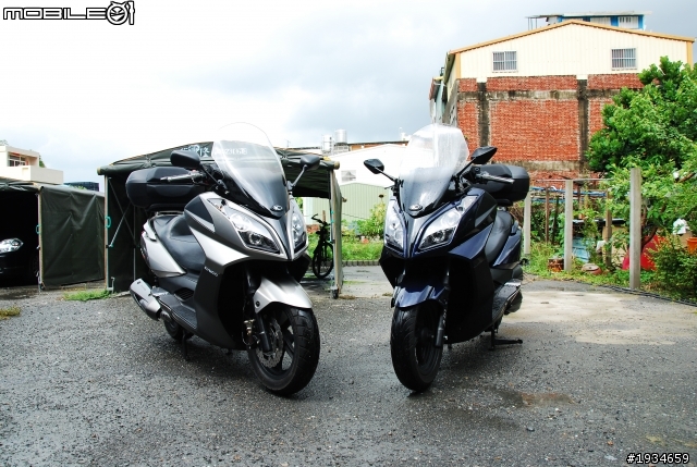 NIKITA300 禮拜日放架啦...小凳羚上SHAD SH48後箱