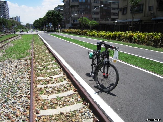 【城市漫遊加映場】花信有期–港都自行車道行道樹篇