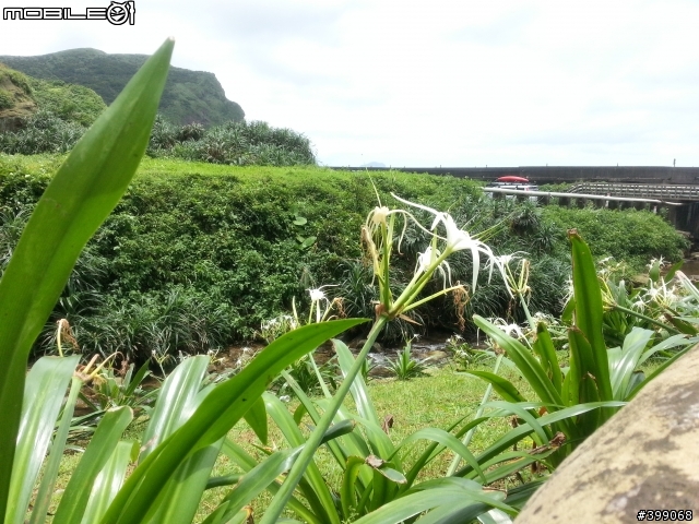 《分享》帶著Galaxy S3(越南白機) 第一次出征 拍風景(北海岸)