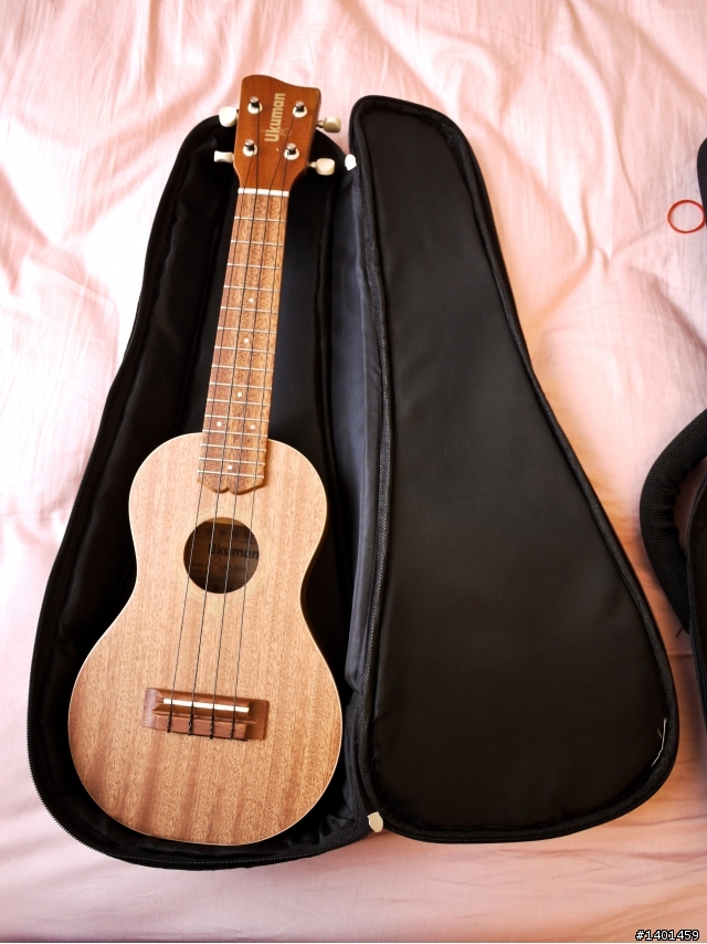 烏克麗麗開箱比較文-Ukuman UP-300 VS PUKA PK-1S