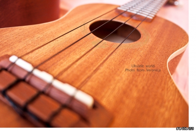 烏克麗麗開箱比較文-Ukuman UP-300 VS PUKA PK-1S