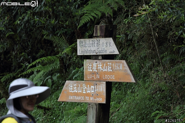 60D+小小白,麟趾山走鹿林山