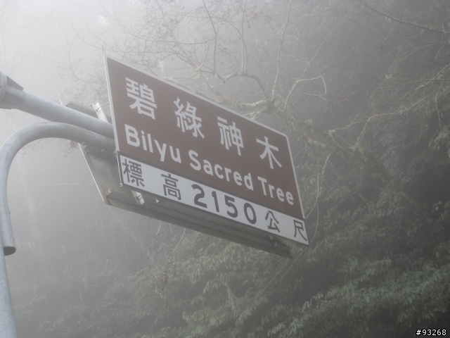 三天兩夜中橫之旅