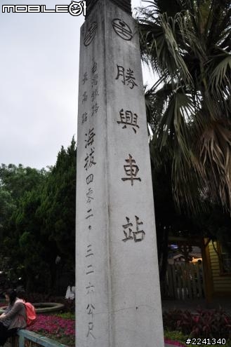 螢蟲出沒~令人驚奇的夜晚精靈