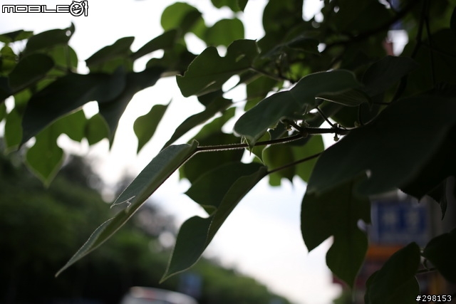 熱騰騰的餅乾 ---- Canon EF 40mm f/2.8 STM