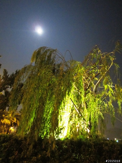 【城市漫遊番外篇】夜的獨白–港都自行車道午夜特輯