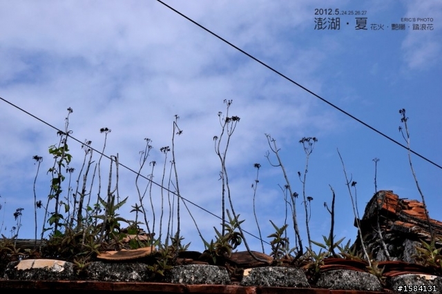 5月24~27,我的澎湖‧夏旅行