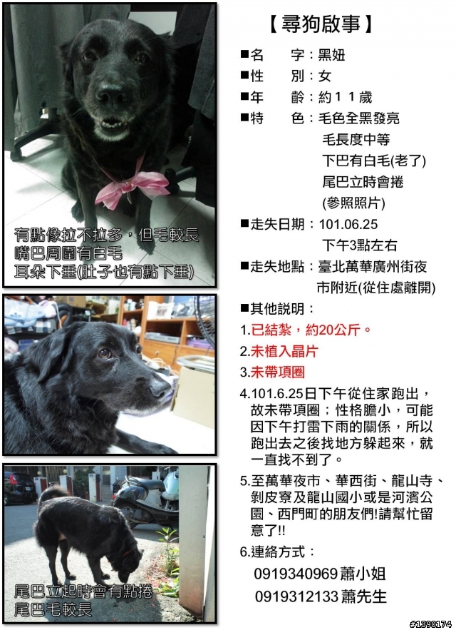 【協尋狗狗】台北市萬華區~黑色米克斯(母)~黑妞妞~~~~~
