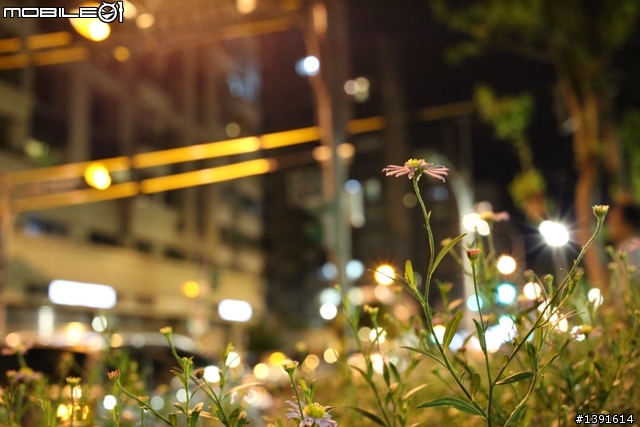 40mm f/2.8 STM 請問大家都有裝保護鏡嗎?